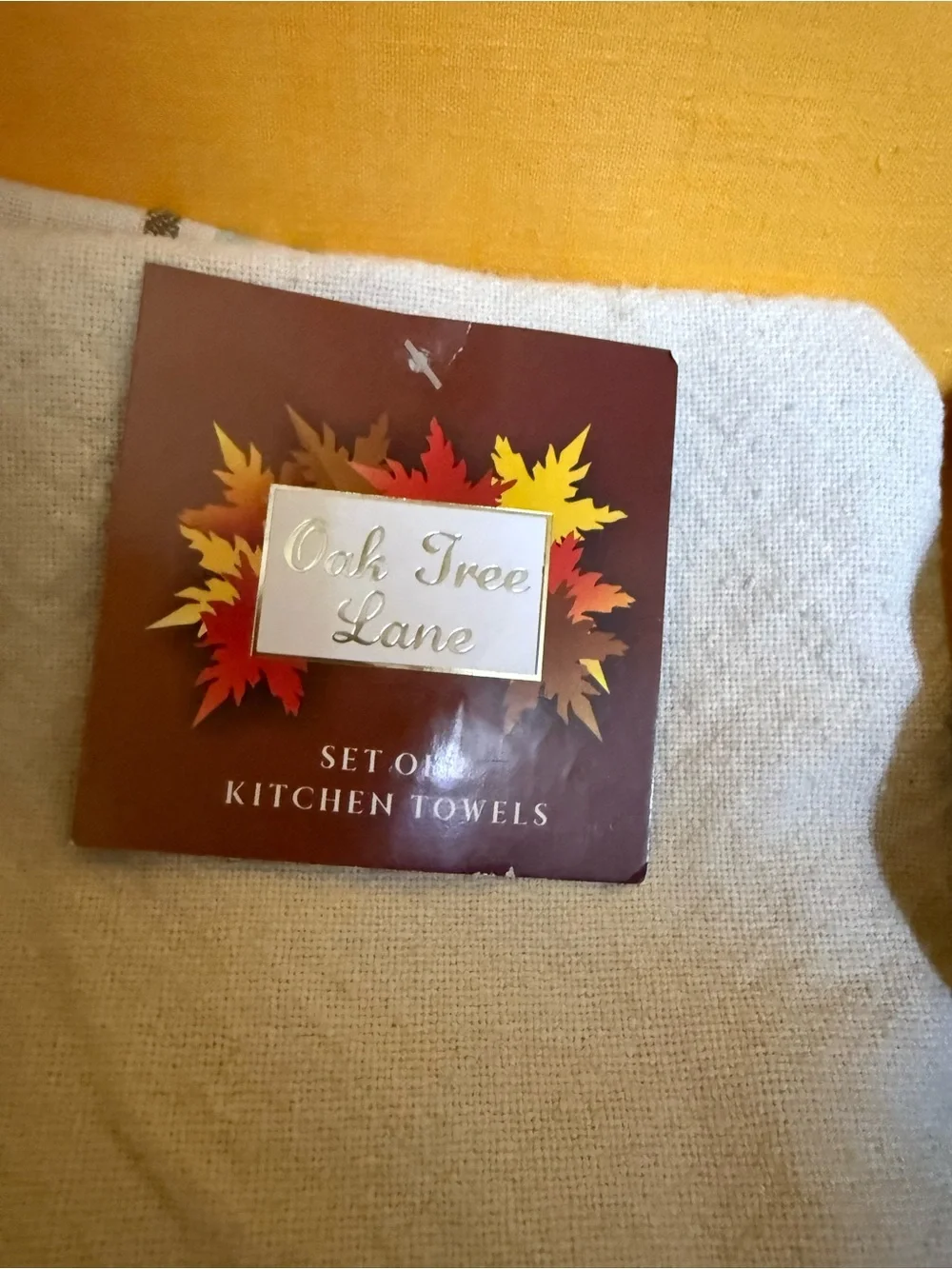 3 pc set, Cream Kitchen Towel Set, 2 velvet feel blue pumpkins